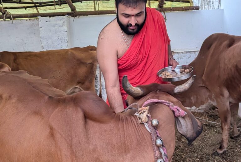 PXL_20241109_120800894.NIGHT